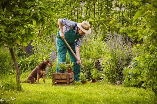 Accessible gardener working in a Poplar garden pathway