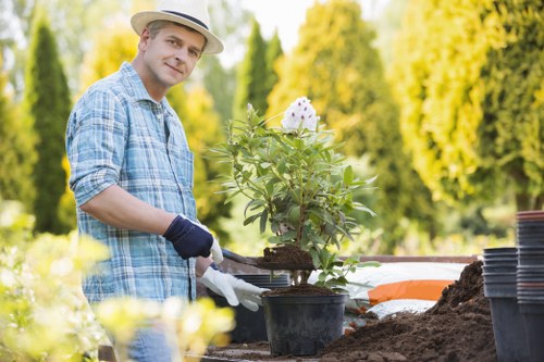 Trimming and safety equipment for hedge maintenance